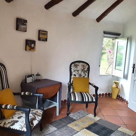 Le Clos D'Almide Monestier  Exteriör bild